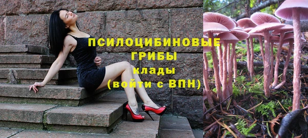 марки lsd Осинники