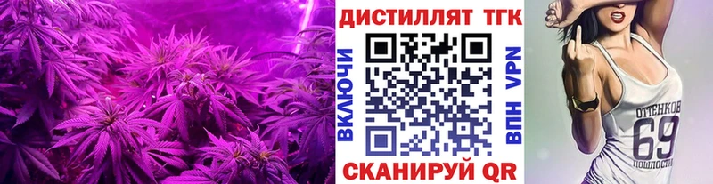 Купить закладки  Кизляр  ТГК жижа 